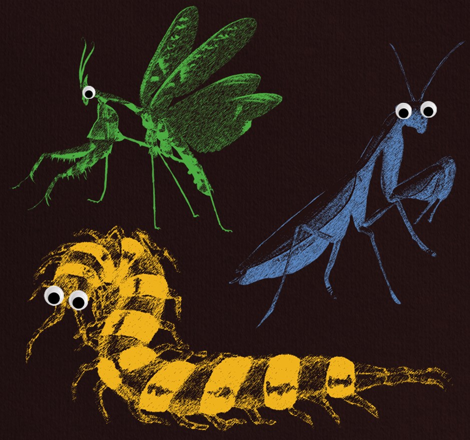 Mini Kunstclub: Kriebelbeestjes